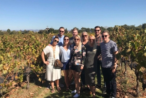 Visite guidée privée de la région viticole de Napa et Sonoma