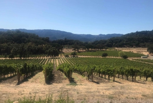 Privat guidet vinrejse til Napa og Sonoma Wine Country med guide