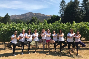 Tour enologico privato guidato a Napa e Sonoma Wine Country