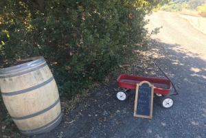 Excursão privada guiada de vinhos a Napa e Sonoma Wine Country