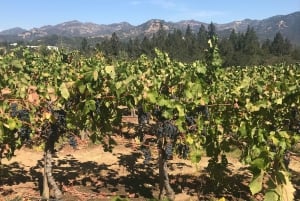 Guidet privat vintur til Napa og Sonoma Wine Country