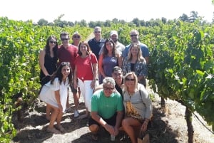 Guidet privat vintur til Napa og Sonoma Wine Country