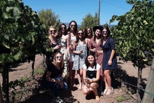 Guidet privat vintur til Napa og Sonoma Wine Country