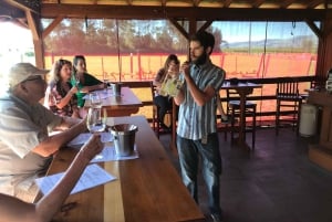 Guidet privat vintur til Napa og Sonoma Wine Country