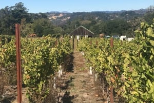 Guidet privat vintur til Napa og Sonoma Wine Country
