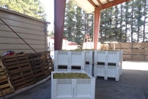 Guidet privat vintur til Napa og Sonoma Wine Country