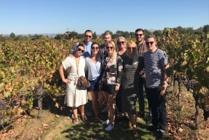 Guidet privat vintur til Napa og Sonoma Wine Country