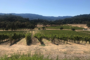 Guidet privat vintur til Napa og Sonoma Wine Country