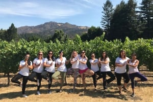 Guidet privat vintur til Napa og Sonoma Wine Country