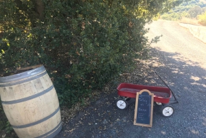 Guidet privat vintur til Napa og Sonoma Wine Country