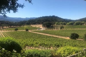 Guidet privat vintur til Napa og Sonoma Wine Country