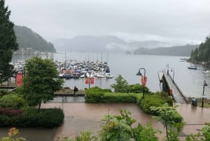 Excursión en Kayak por Vancouver