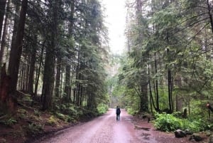 Kajakpaddling Vancouver Tour