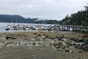 Kajakpaddling Vancouver Tour