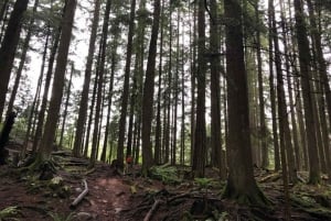 Excursion en kayak à Vancouver