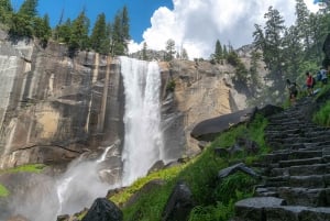 Z LA: 3-dniowa wycieczka do SF, Yosemite, Santa Barbara i Carmel