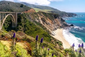 LA: San Francisco, Yosemite, Santa Barbara & Carmel, 3-Days