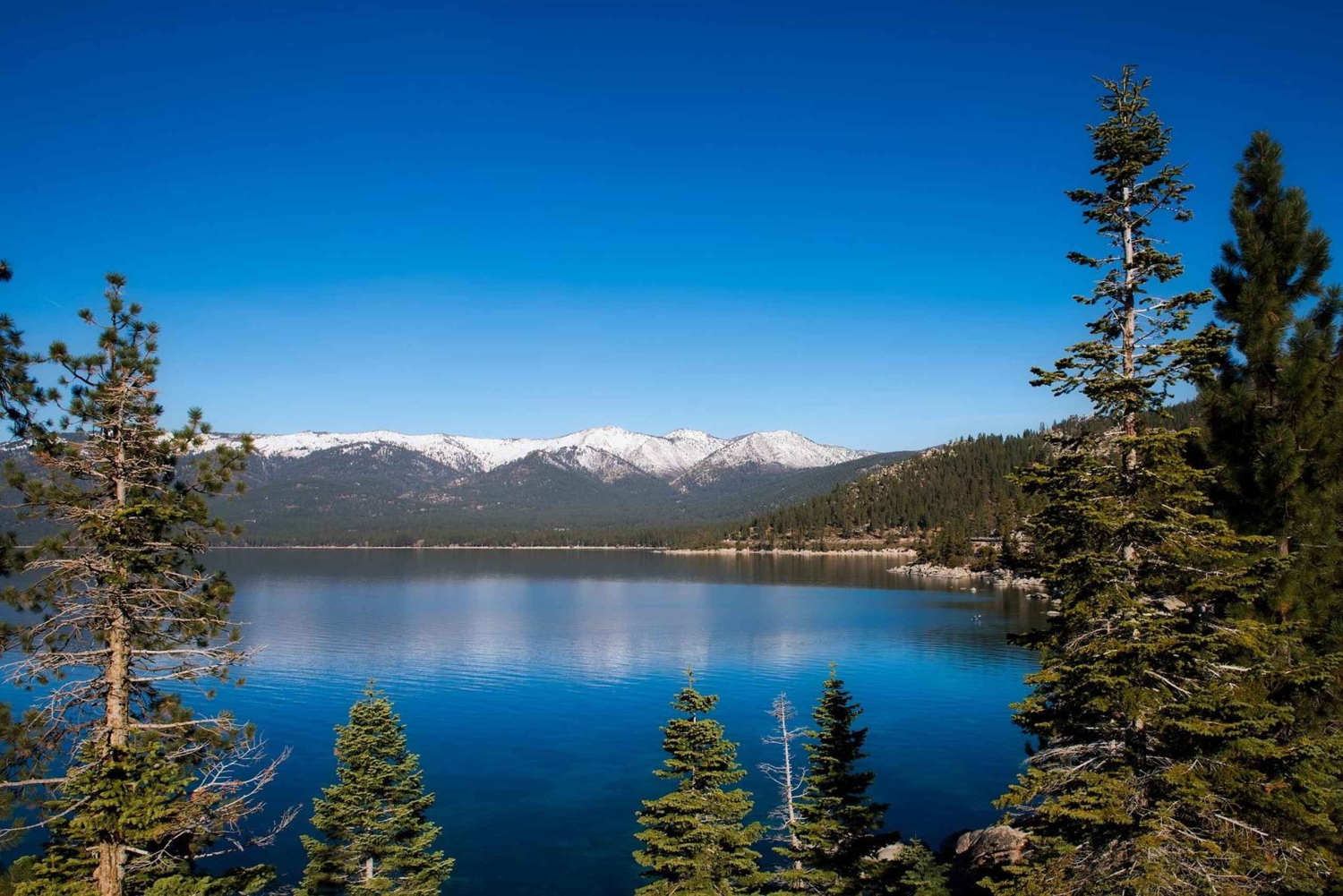 Lake Tahoe privat sightseeingtur med daglig chauffør