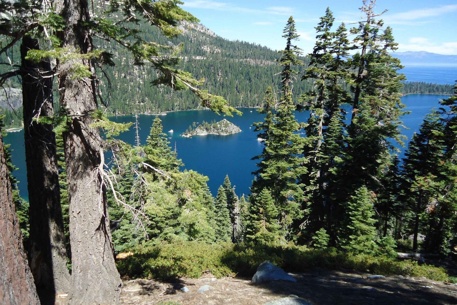 Lake Tahoe privat sightseeingtur med daglig chauffør