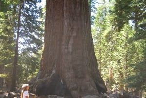 Las Vegas: Zuidwest USA Nationale Parken 11-daagse reis naar SF