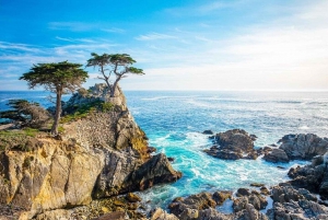 3-Tages-Tour Los Angeles-San Francisco, Yosemite National Park