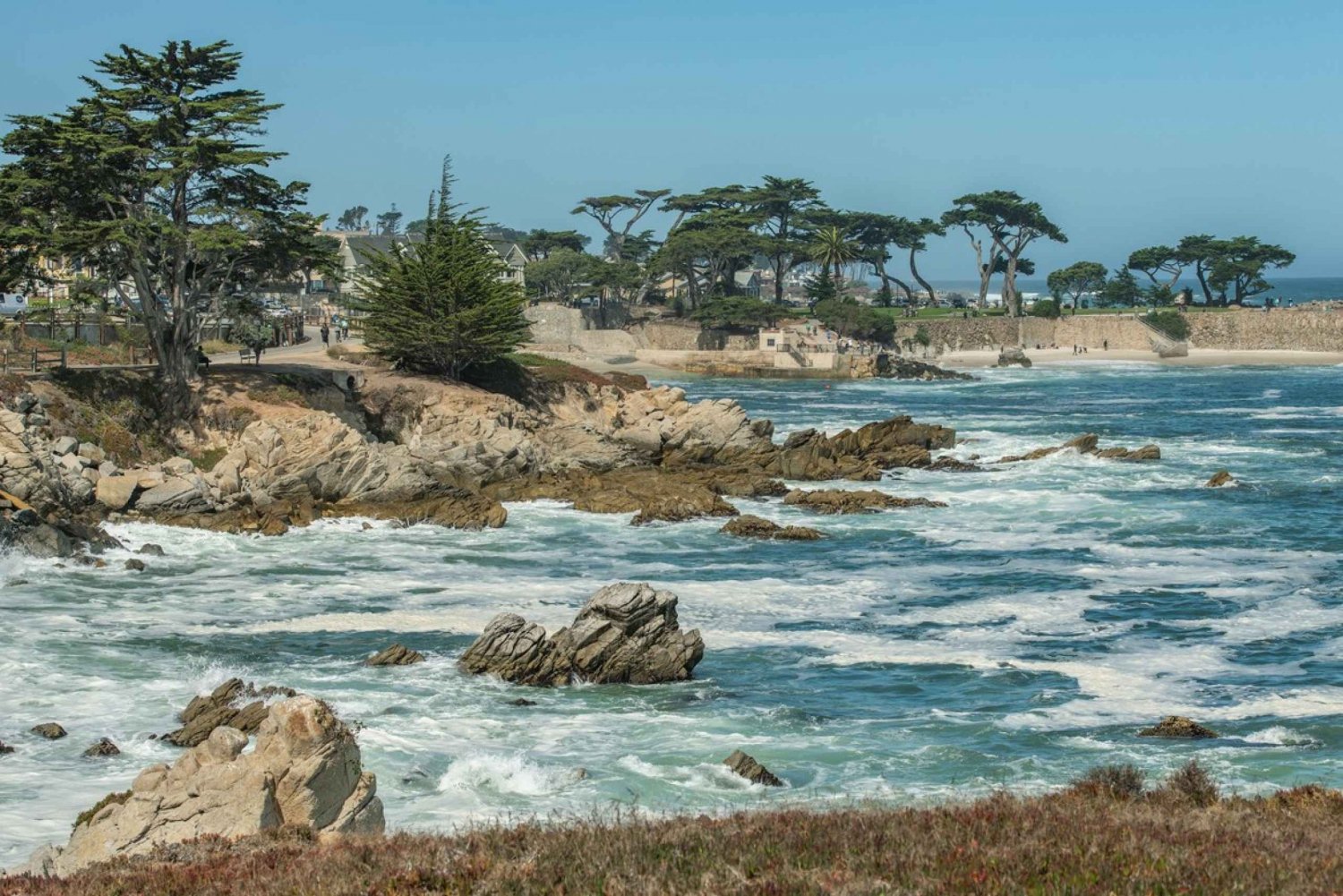 Giro turistico della penisola di Monterey lungo la 17 Mile Drive