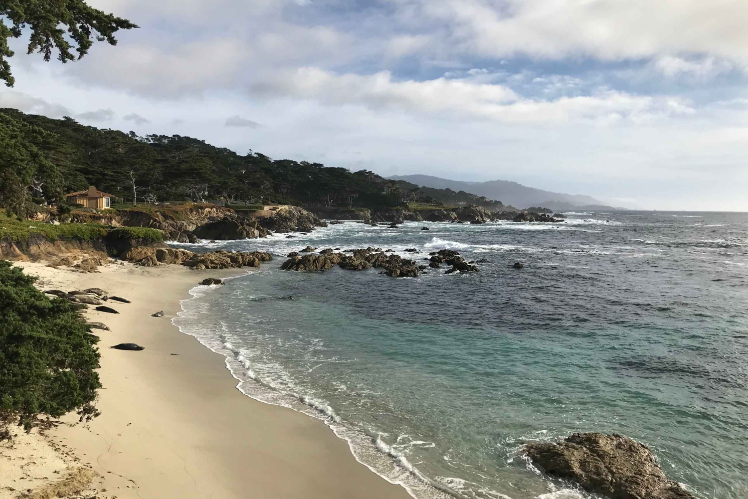 Visite touristique de la péninsule de Monterey, y compris 17 Mile Drive