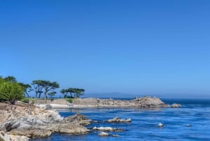 Visite touristique de la péninsule de Monterey, y compris 17 Mile Drive