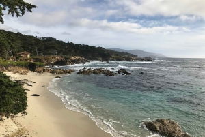 Visite touristique de la péninsule de Monterey, y compris 17 Mile Drive