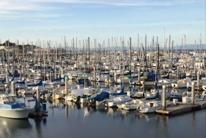 Visite touristique de la péninsule de Monterey, y compris 17 Mile Drive