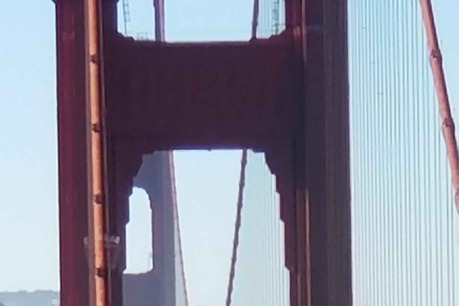 Muir Woods, Sausalito et retour en ferry à Fisherman's Wharf