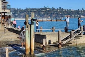 Muir Woods, Sausalito en veerboot terug naar Fisherman's Wharf