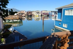 Muir Woods, Sausalito y Ferry de vuelta a Fisherman's Wharf