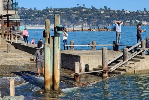 Muir Woods, Sausalito et retour en ferry à Fisherman's Wharf