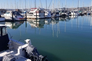 Muir Woods, Sausalito et retour en ferry à Fisherman's Wharf