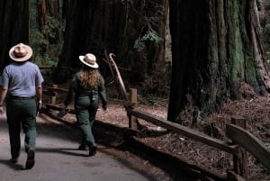 Besøk i Muir Woods og sykkeltur på Golden Gate Bridge