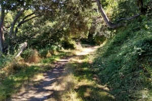 E- bike tours on scenic trails in and beyond San Francisco