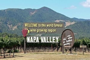 San Francisco: tour enologico premium per piccoli gruppi a Napa e Sonoma