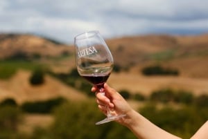 San Francisco: tour enologico premium per piccoli gruppi a Napa e Sonoma