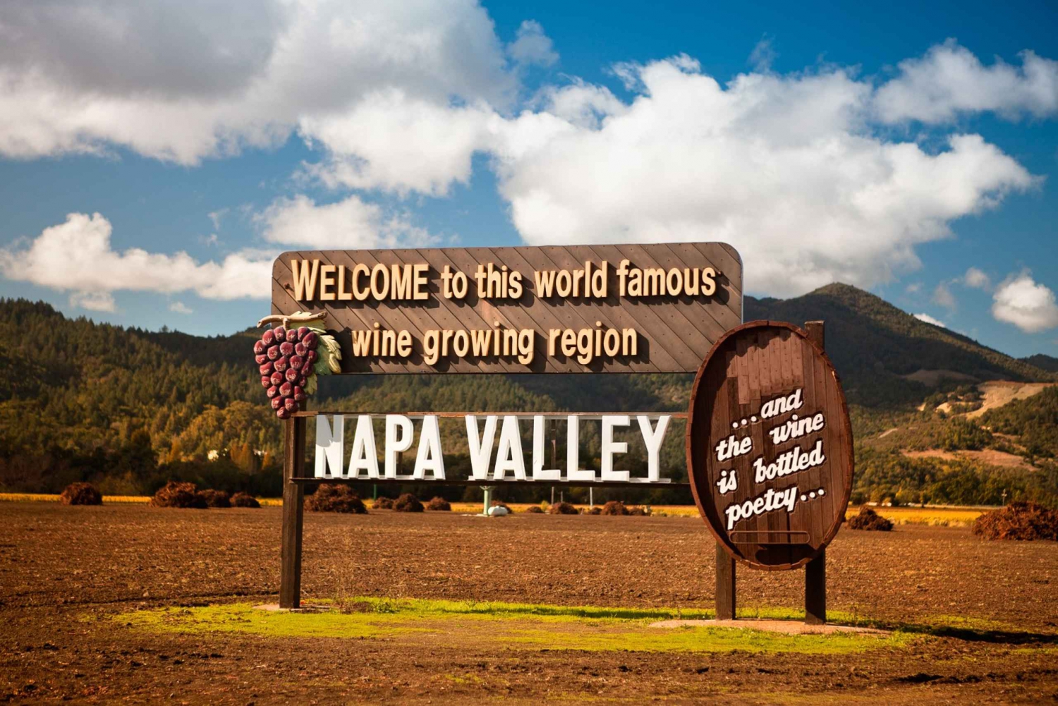From San Francisco: Napa Valley Private Tour