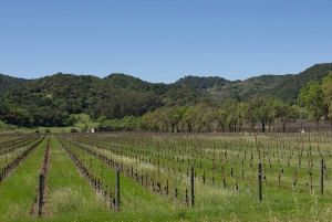 Napa Valley: tour di degustazione di vini con carrello all'aperto e pranzo