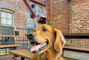 Tournée des bars de l'Oktoberfest avec dégustations