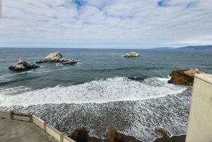 Premium kleine groepsreis door San Francisco