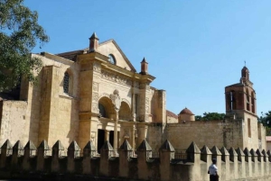 Privat kulturarvspasertur i kolonizonen med en lokal kunstner som guide