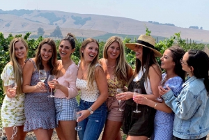 Private Wine Tour to Napa & Sonoma from San Francisco