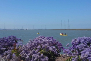 Redwood City : location de kayaks