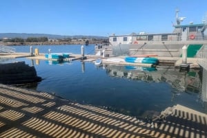 Redwood City: Stand-Up Paddleboard Rental