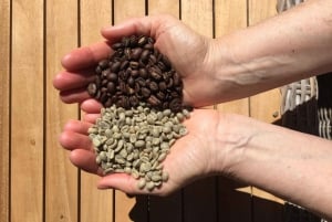 Roast Your Own Coffee: SF Bay Area