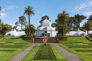 San Fancisco: Wynajem Golden Gate Park Surrey