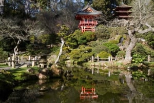 San Fancisco: Wynajem Golden Gate Park Surrey